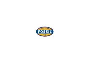 Fossil(化石)
