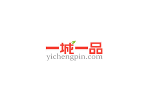 一城一品