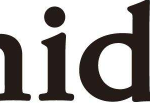 SNIDEL