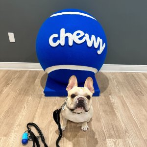 Chewy 全场大促 囤干粮零食用品啦