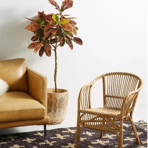 anthropologie 家居家饰春季闪促