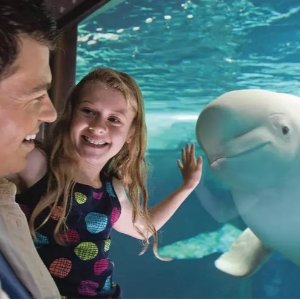 SeaWorld 海洋世界 加州 San Diego 门票优惠